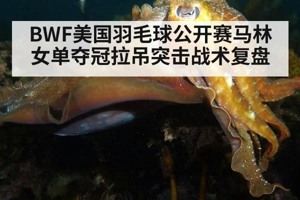 BWF美国羽毛球公开赛马林女单夺冠拉吊突击战术复盘 - jiuyouhui