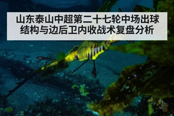 山东泰山中超第二十七轮中场出球结构与边后卫内收战术复盘分析